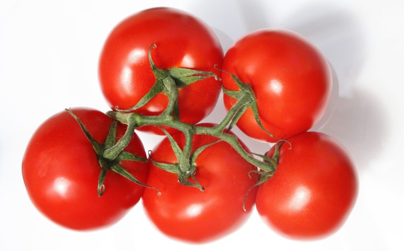 When is it Time for Tomatoes?